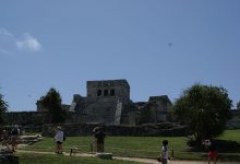 SONY DSC
