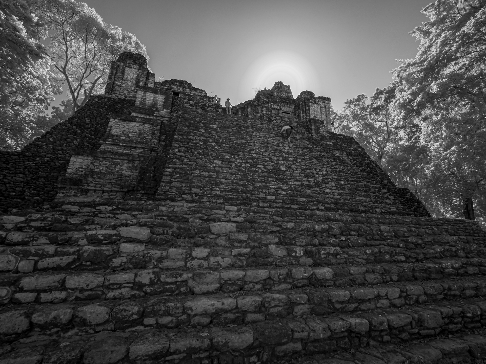 Image Alt