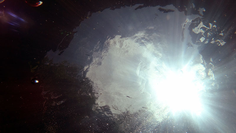 Cenotes – Cenote Calavera/Temple of Doom