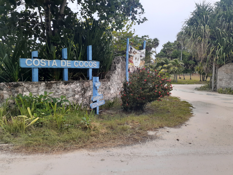 Restaurant review – Costa de Cocos