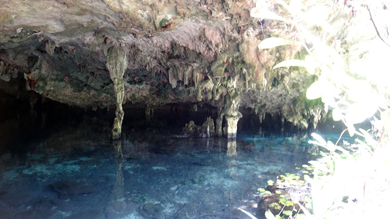 Cenotes – Dos Ojos