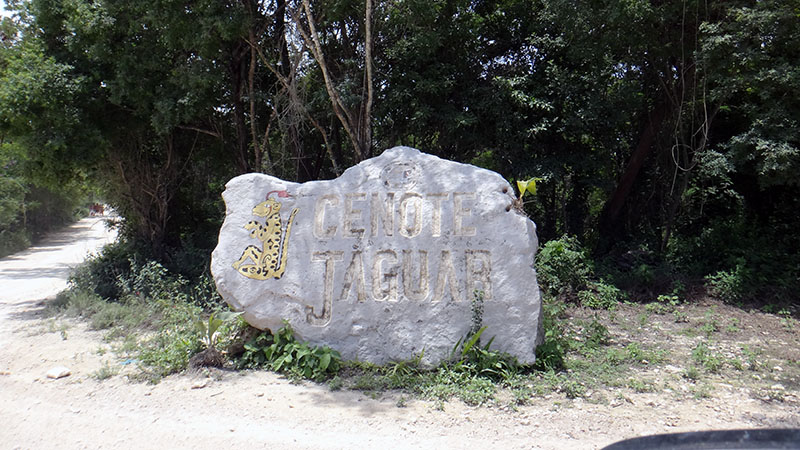 Cenotes – Jaguar Cenote