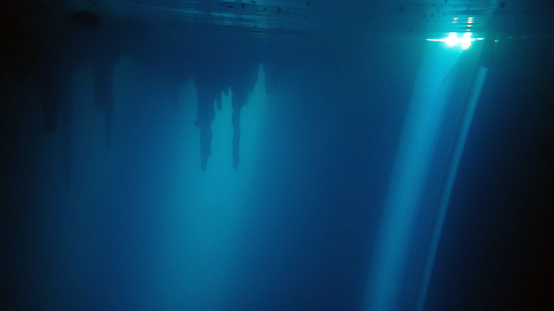 The Cenote Report