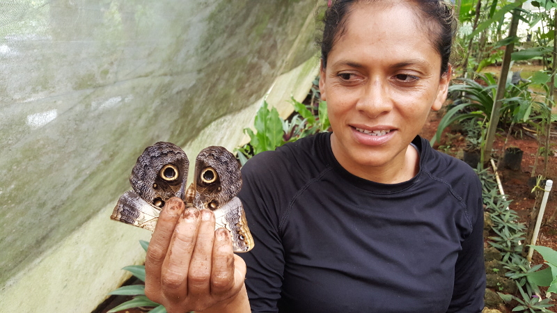 Daytrips from Xcalak – Butterfly farm